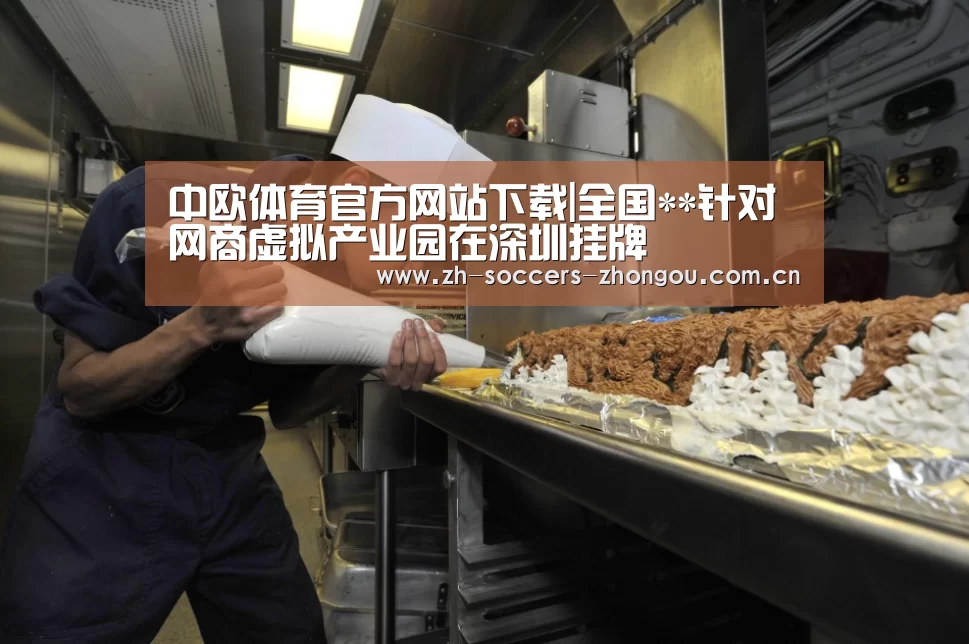 中欧体育官方网站下载|全国**针对网商虚拟产业园在深圳挂牌(图2) 中欧体育官方网站最新版