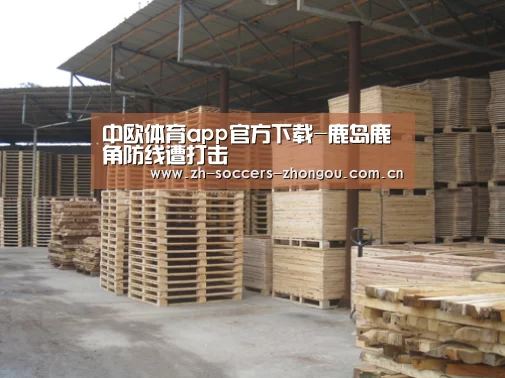 中欧体育app官方下载-鹿岛鹿角防线遭打击(图3) 中欧体育app官方下载