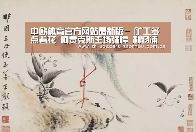 中欧体育app官方下载