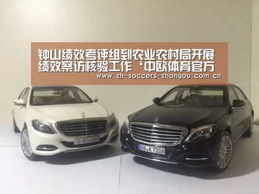 钟山绩效考评组到农业农村局开展绩效察访核验工作‘中欧体育官方网站下载’(图2) 中欧体育官网登录入口