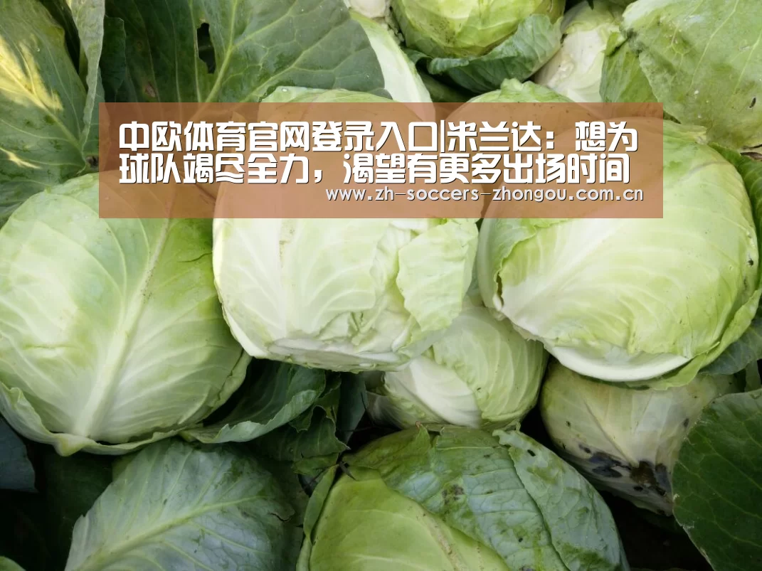 中欧体育官网登录入口|米兰达：想为球队竭尽全力，渴望有更多出场时间