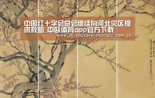 中国红十字会总会继续向河北灾区提供救助_中欧体育app官方下载