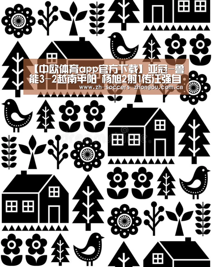 【中欧体育app官方下载】亚冠-鲁能3-2越南平阳 杨旭2射1传汪强自摆乌龙