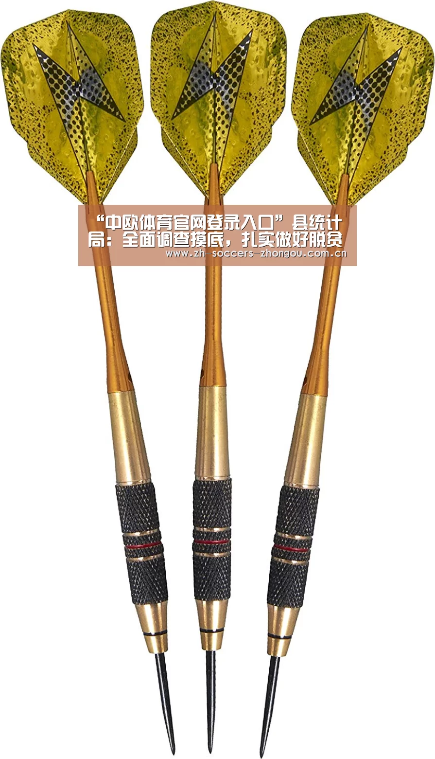 “中欧体育官网登录入口”县统计局：全面调查摸底，扎实做好脱贫攻坚工作