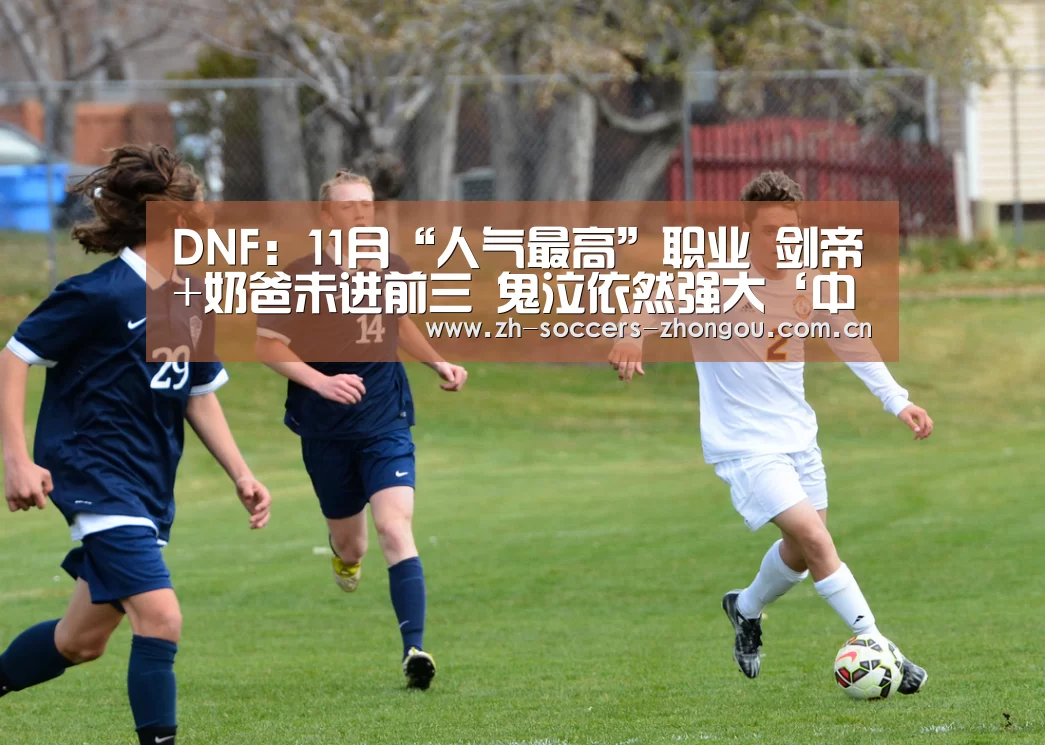 DNF:11月“人气最高”职业 剑帝+奶爸未进前三 鬼泣依然强大‘中欧体育官方网站下载’(图4) 中欧体育官方网站最新版