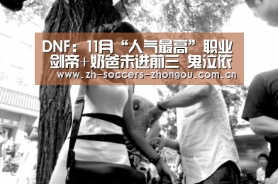 DNF:11月“人气最高”职业 剑帝+奶爸未进前三 鬼泣依然强大‘中欧体育官方网站下载’(图3) 中欧体育官网登录入口