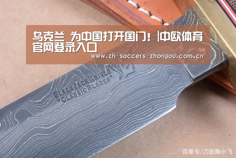 乌克兰 为中国打开国门!|中欧体育官网登录入口(图3) 中欧体育app官方下载